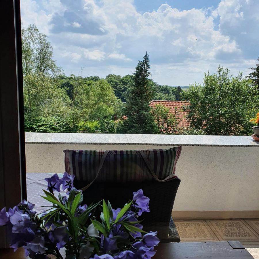 Schau Ins Land Apartment Elbingerode  Bagian luar foto