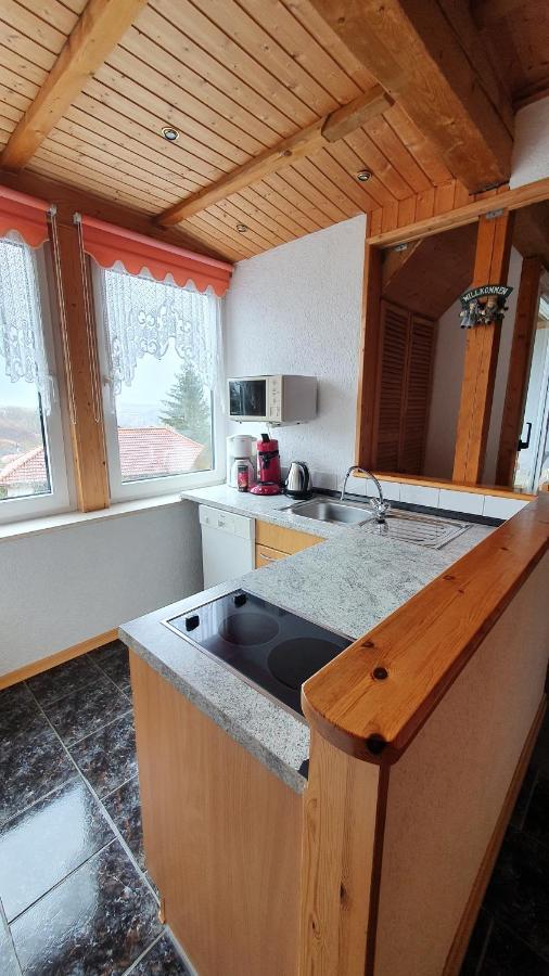 Schau Ins Land Apartment Elbingerode  Bagian luar foto